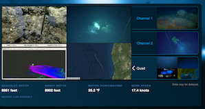 Nautilus Live